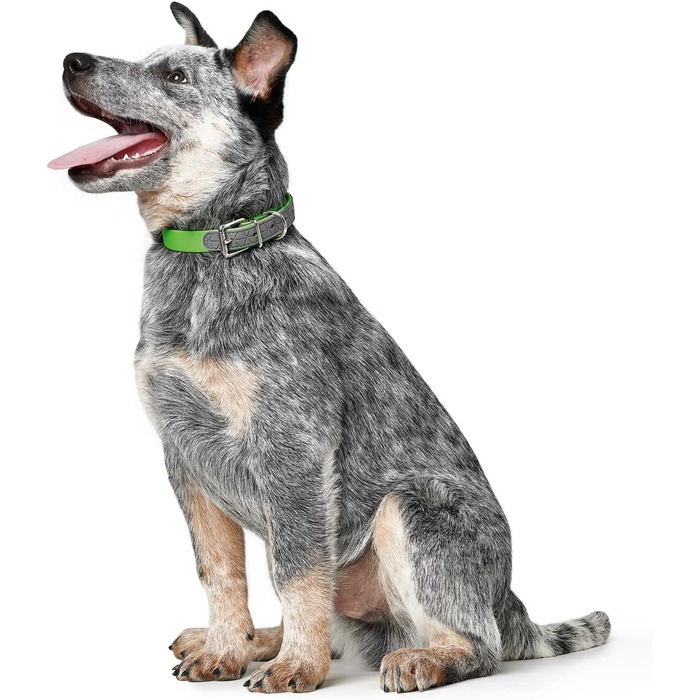Нашийник для собак Hunter CONVENIENCE COMFORT, пластиковий, неопреновий, 40 з, яблучно-зелений, яблучно-зелений, 40 з
