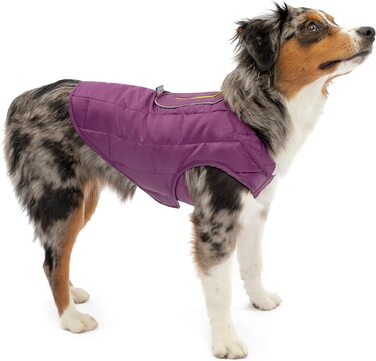 Куртка для собак Kurgo, яка часто поєднується з собачою упряжкою, водонепроникна і зручна, ідеально підходить для зими, розмір для виготовлення чорнила / морський газ /морський газ (s, сірий / фіолетовий)