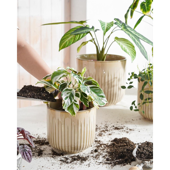 Набір горщиків для квітів LE TAUCI 3шт, кераміка, 21+17+14 см, з дренажними отворами