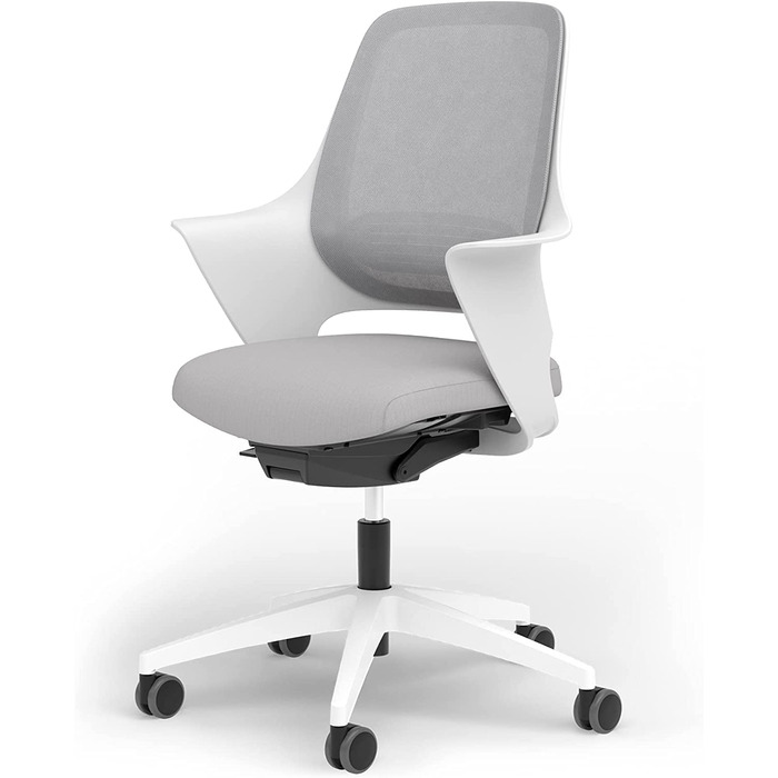 Ergotopia WellBack: Ергономічне крісло для офісу та дому, Made in Germany, з підтримкою попереку та синхро-механізмом, білий каркас, сірий колір