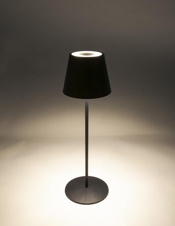 Торшер SCHWAIGER OTL200 - LED лампа, нічник, торшер для саду/інтер'єру, RGB, сенсорне управління, акумулятор, диммування, тепле світло, IP44, антрацит, пластик