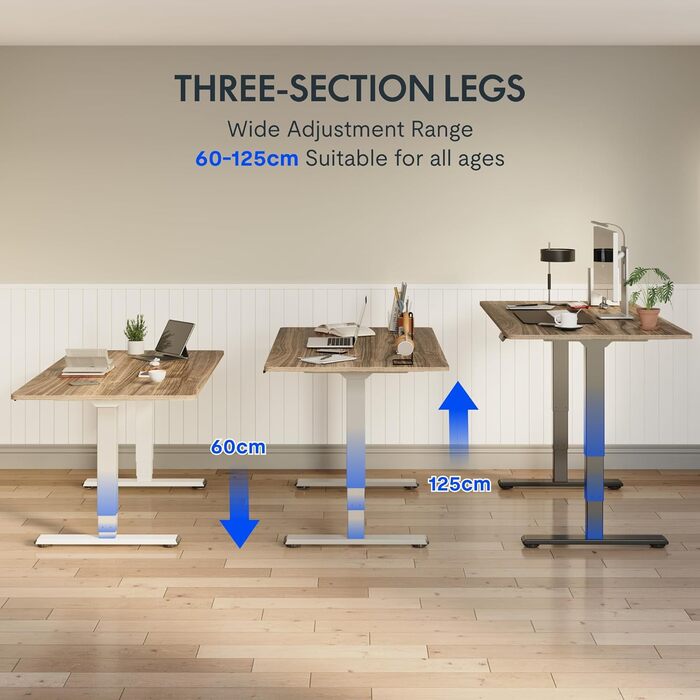 Електричний регульований стіл FLEXISPOT 120x80 см з подвійним мотором – ергономічний стоячий стіл для дому та офісу, 100 кг, тиха робота (<50 дБ)