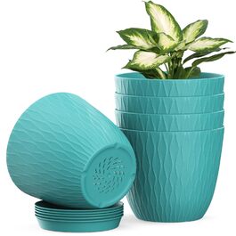 розмір: 6 дюймів