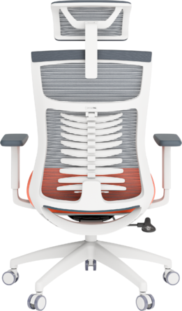 Крісло офісне OfficePro Balance OC550-W-DG-OR