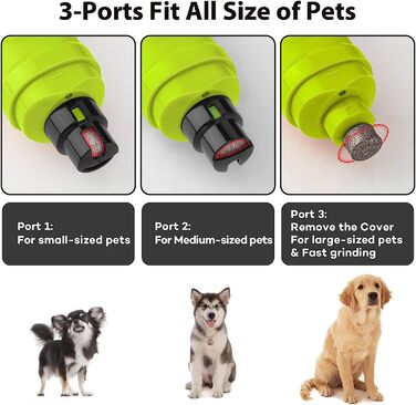 Точилка для кігтів Casfuy для собак з 2 світлодіодними лампами - 2 швидкісних, безшумних, потужних електричних точила для кігтів для маленьких, середніх собак і кішок (зелений)