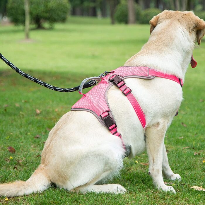 Багатоцільова шлейка для собак BELPRO, стійка до злому, що не висмикується, світловідбиваюча, регульований жилет з міцною ручкою, шлейка для великих / активних собак (м) (М (1 упаковка), рожева)