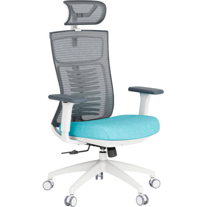 Крісло офісне OfficePro Balance OC550-W-DG-BL