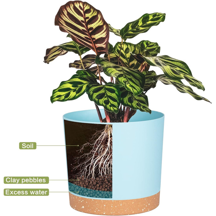 Набір горщиків для квітів QCQHDU 2 шт. з дренажними отворами та знімним дном, підставки, сучасний декор для дому та саду (Світло-блакитний, 25.4 см)