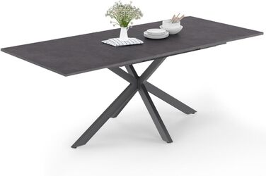Розсувний обідній стіл IDMarket Jaspe, прямокутний, на 6-10 осіб, бетонний ефект, сірий, 160-200 см