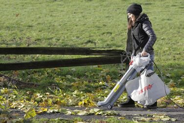 IKRA 74204030 Електричний 3-в-1: пилосос для листя, повітродувка, подрібнювач листя IBV 2800 E, об'єм контейнера 45л, швидкість повітря 275 км/год, 2800 Вт, 230 В, сірий/червоний/чорний