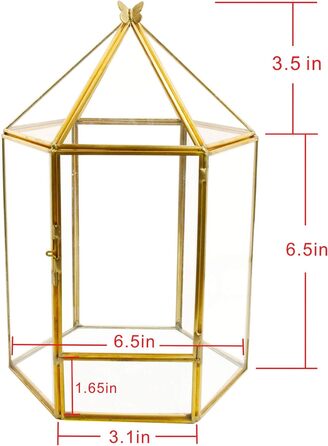 Скляне терассіум ElegantLife Geometrisches для сукулентів та повітряних рослин, шестигранний, золотистий
