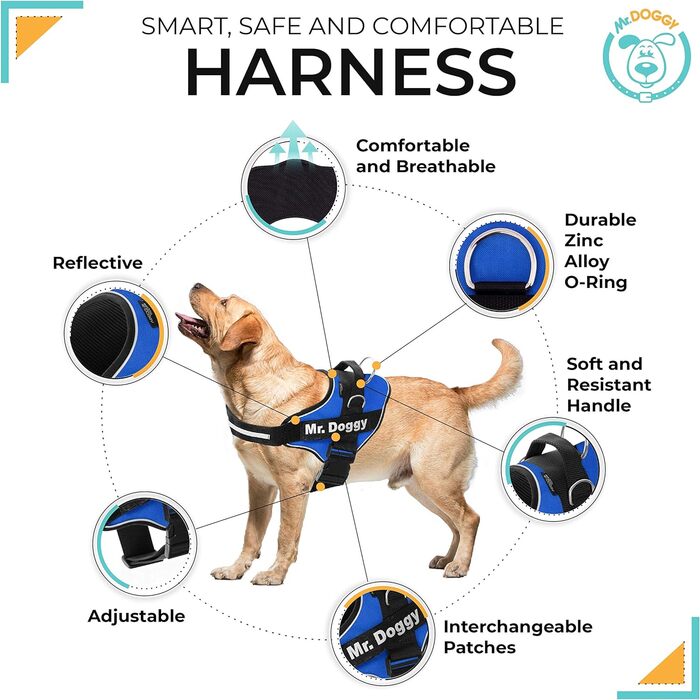 Персоналізована шлейка для собак - світловідбиваюча та безпечна - 2 іменні бирки - маленька, середня та велика - якість та довговічність (S 7-15 кг, синя)