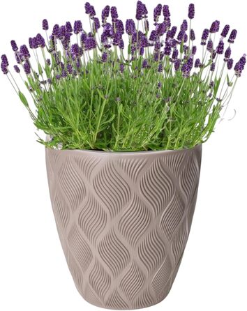 Квітчар MELTOM Blumenkübel: декоративний горщик для квітів з винімним вкладишем, кругла форма, 3D ефект, колір Taupe (M)