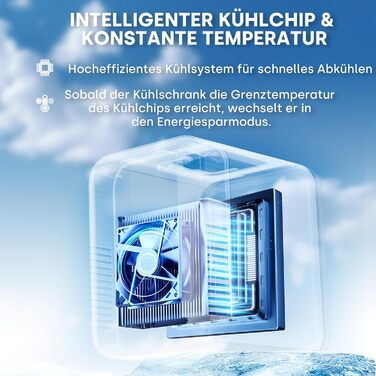 Mini холодильник Enventor 10L: портативний, з подвійним охолодженням, 12V/220V, для авто, спальні, офісу, чорний