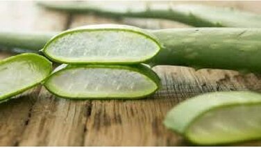 Ортопедичні подушки EVERGREENWEB 2 шт. з віскоеластичної піни 40x70x12 см (2 шт.) - Made in Italy