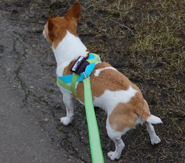 Повідець Twinkys Dog Style 20 мм для собак вагою до 50 кг, 5 м, неоново-зелений