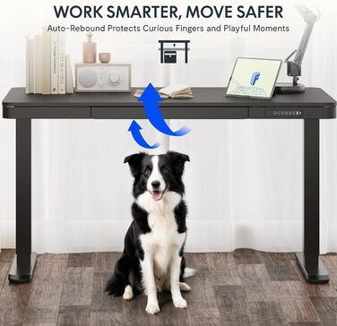 Електричний регульований стіл FLEXISPOT з підйомною функцією, USB-порт, ящик для зберігання та скляною стільницею (сніжно-білий), 140 x 70 см, Luxusschwarz