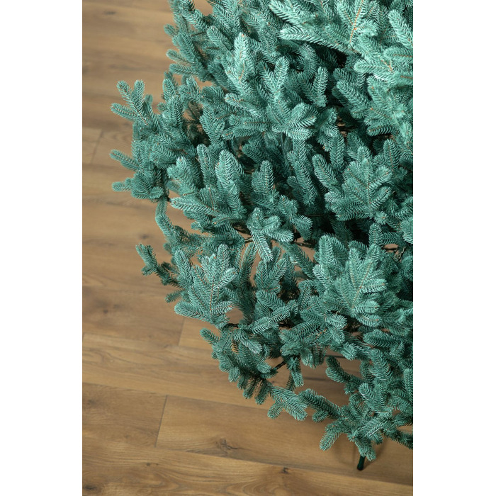 Ялинка лита 'Віденська' Блакитна 3,00м