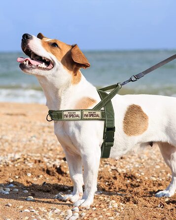 Шлейка для собак Eeyfarog No Pull для маленьких і середніх собак, світловідбиваюча протиосколкова регульована без натягу, шлейка для собак (Зелена, XL) XL Зелена