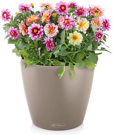 Горщик для квітів LECHUZA CLASSICO Color 35 Sandbraun (19x19x17 см)