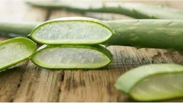 Ортопедичні подушки EVERGREENWEB 2 шт. з віскоеластичної піни 40x70x12 см. Зверху - чохол з алое вера. Виробництво Італія.