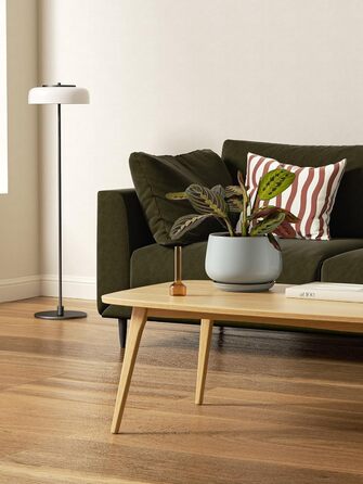 Керамічні горщики LE TAUCI з підставкою, 10+13+16 см, набір з 3 горщиків для кімнатних рослин, з дренажним отвором, реактивна глазур (блакитно-сірий)