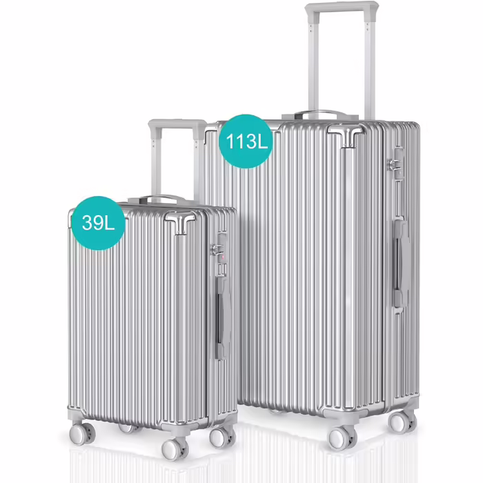 Набір валіз Voyagoux 2 шт. 39л і 113л, жорсткий ABS, TSA-замок, 4 колеса 360°, легкий, сріблястий