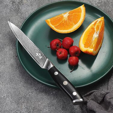 Саторі Дамаска 18 см - професійний кухонний ніж з дерев'яною ручкою, з високим вмістом вуглецю, VG10 сталь, преміум якість