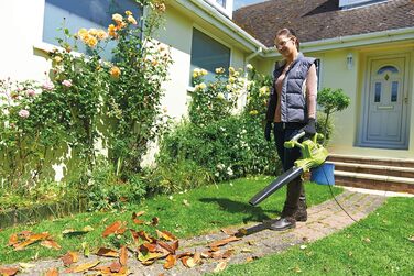 Електричний повітродув/пилосос Ryobi RBV3000CSV | 3000 Вт