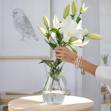 Тренд для дому ваза для квітів ваза скляна скляна ваза для квітів скляна ваза для квітів настільна декоративна ваза прозора скляна декоративна ваза скляна домашня ваза