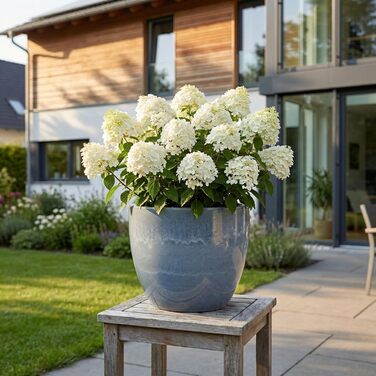 Керамічний горщик Teramico Premium – ручної роботи, морозостійкий, для квітів, 21x18 см, сірий (Октябрь)