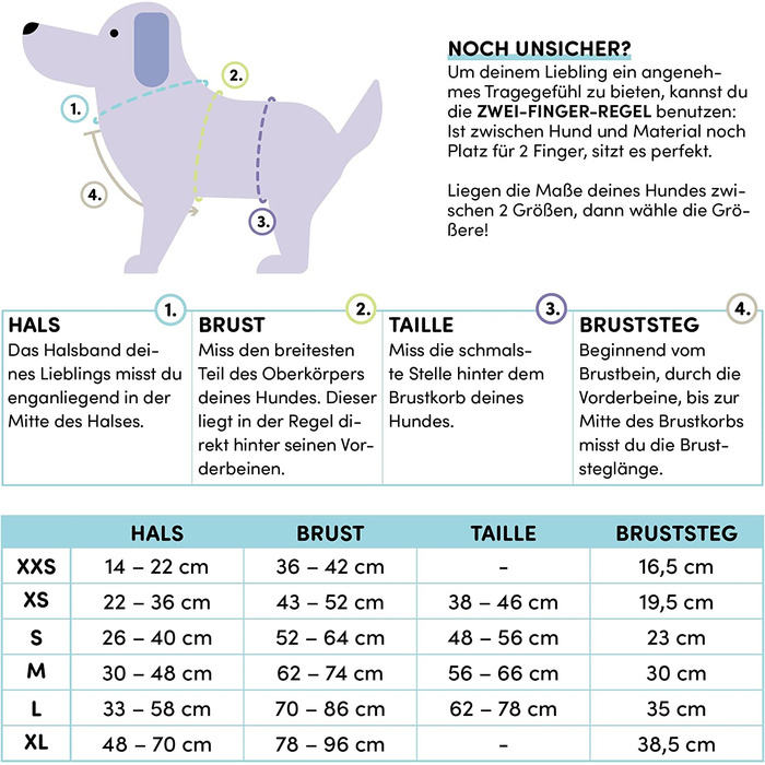 Шлейка для собак STUCH-регульована нейлонова шлейка з м'якою підкладкою - для маленьких, маленьких і великих собак, Колір Розмір (бежевий, XS)