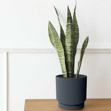 Кашпо для квітів DBMIG з вкладишем, циліндричної форми, біле (36,5 x 29,8 см)