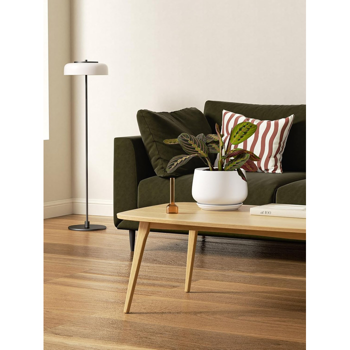 Керамічні горщики LE TAUCI з підставкою, 10+13+16 см, набір з 3 горщиків для кімнатних рослин, з дренажним отвором (білий)