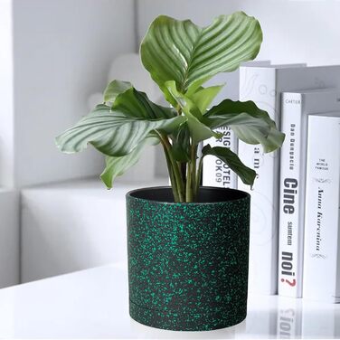 5шт горщиків для квітів з підставкою, 17.8/15.2/14/12.7/10.2см, пластикові горщики для рослин, гідропоніка, набір горщиків для дому та балкону, зелені з коричневим піддоном (7+6+5.5+5+4 дюйми)