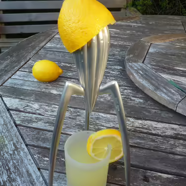 Соковижималка 14х29 см металік Juicy Salif Alessi