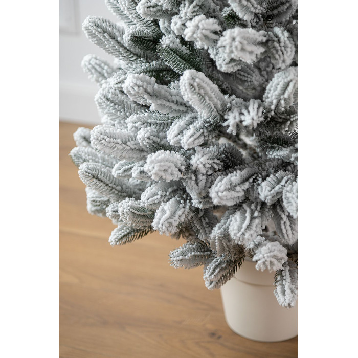 Ялинка лита 'Лапландська' в горщику ЗАСНІЖЕНА 0,70м