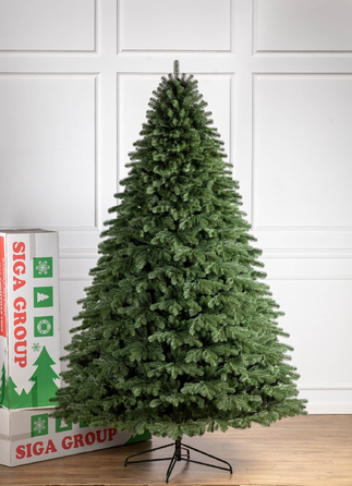 Ялинка лита 'Версальська' ПАРАСОЛЬКА ЗЕЛЕНА 3,00м