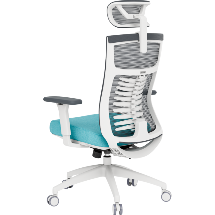 Крісло офісне OfficePro Balance OC550-W-DG-BL