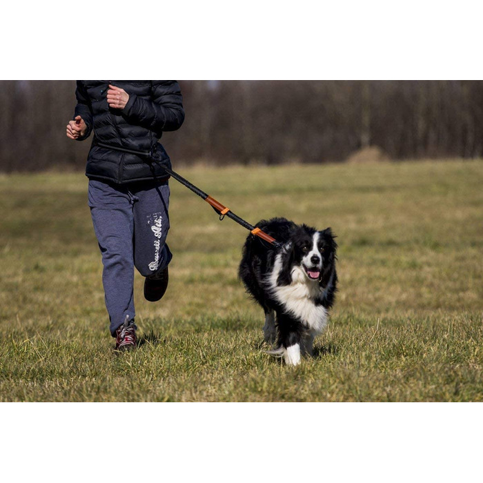 Повідець для бігу для милих собак-подвійний кишеню на блискавці, диспенсер для мішків для корму-еластичний світловідбиваючий повідець для бігу для собак великих і середніх розмірів-Амортизатор подвійний банджі-повідець для повідця, для використання без ру