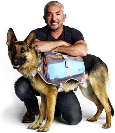 Рюкзак для собак Сезара Міллана - великий рюкзак для собак від кінолога Сезара Міллана