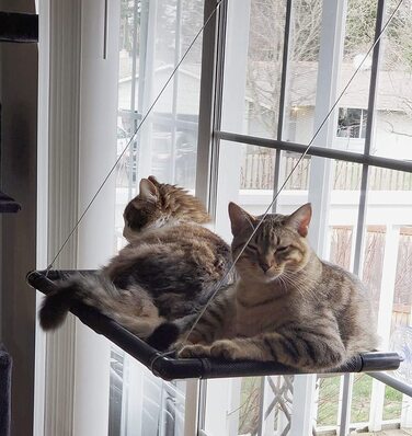 Віконний гамак для котів Dracarys до 25 кг 74х64 см коричневий