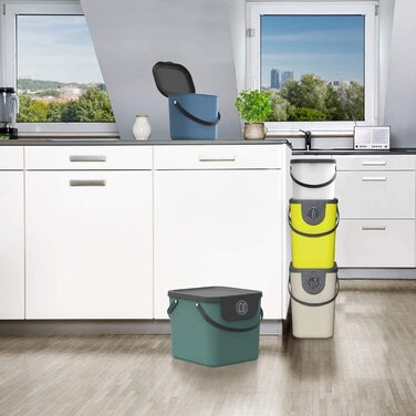 Система поділу сміття Rotho Albula 40l для кухні, пластик (поліпропілен) без бісфенолу А, 40l (40,0 x 35,8 x 34,0 см) (капучино/антрацит)