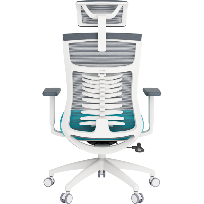 Крісло офісне OfficePro Balance OC550-W-DG-BL