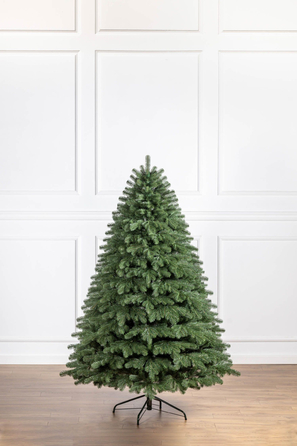 Ялинка лита 'Версальська' Зелена 2,10м