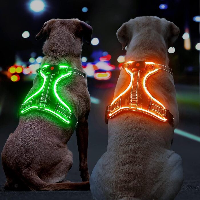 Світлодіодна шлейка для собак Green L, Світлодіодна шлейка, що перезаряджається, світловідбиваюча, з м'якою підкладкою, проти затягування, регулюється для собак