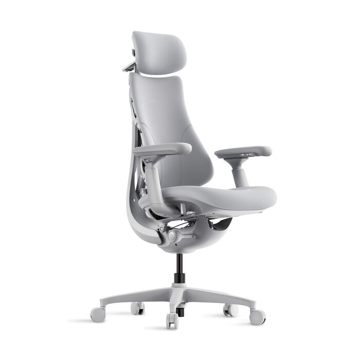 Офісний стіл LiberNovo з ергономічним дизайном, регульованою спинкою та підтримкою попереку, кут нахилу 160°, інтегрована розтяжка хребта, сірий колір, глибина сидіння 45 см. Тільки стілець.