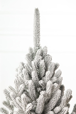 Ялинка лита 'Віденська' ЗАСНІЖЕНА 2,30м