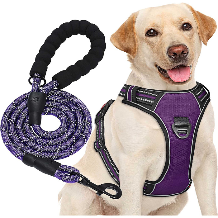 Повідець для собак haapaw без натягу, регульований, світловідбиваючий, Оксфордський, простий в управлінні, повідець для собак середнього розміру з безкоштовним, міцним повідцем для собак L (1 упаковка) фіолетового кольору