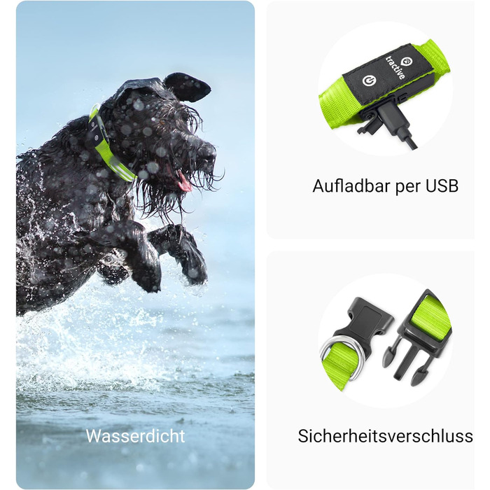 Світлодіодний нашийник для собак, заряджається від USB, водонепроникний (зелений, S)